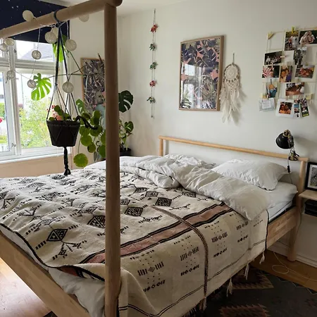 Cozy, And Homely 아파트