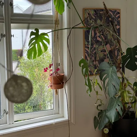 Cozy, And Homely 아파트 스타방에르