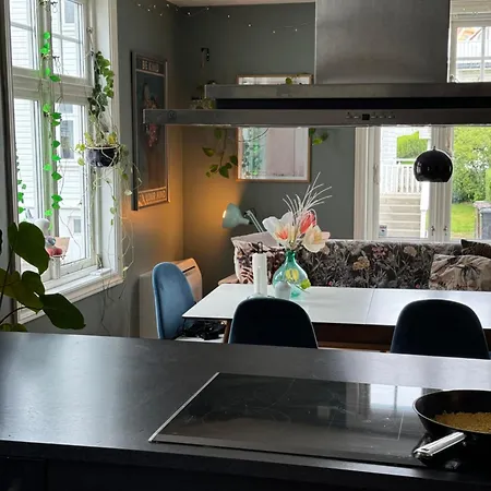 Apartment Cozy, And Homely *