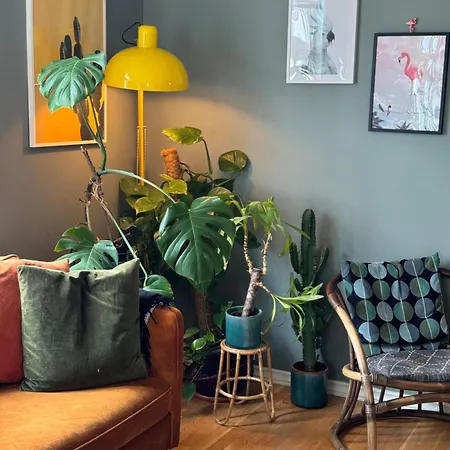 Cozy, And Homely Stavanger