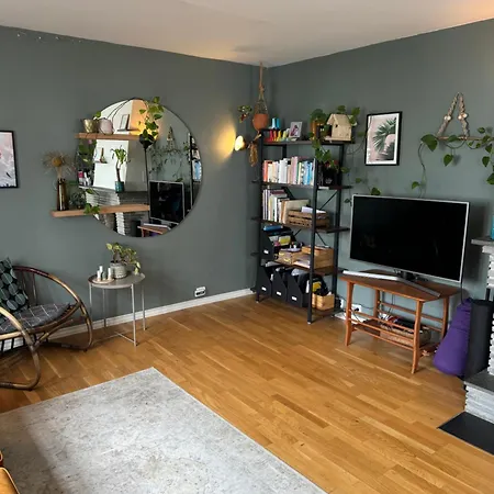 Cozy, And Homely Apartment